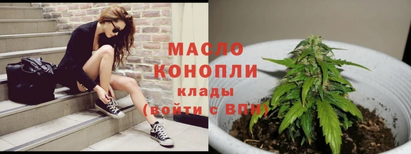 крисы Пересвет