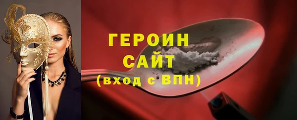 гашик Гусев