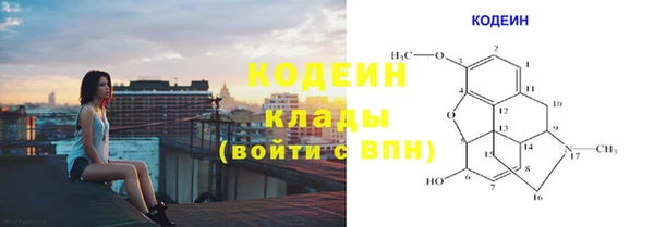 гашик Гусев