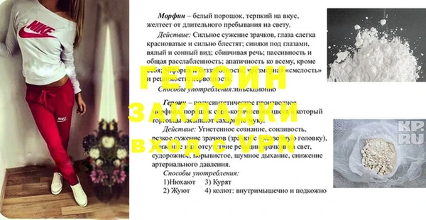гашик Гусев