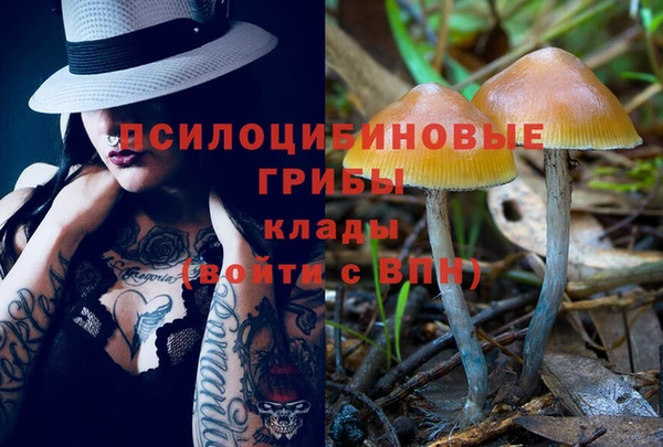марки nbome Гусь-Хрустальный