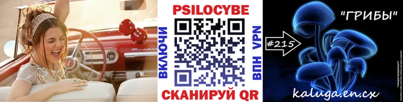 Псилоцибиновые грибы Cubensis  Гусиноозёрск 